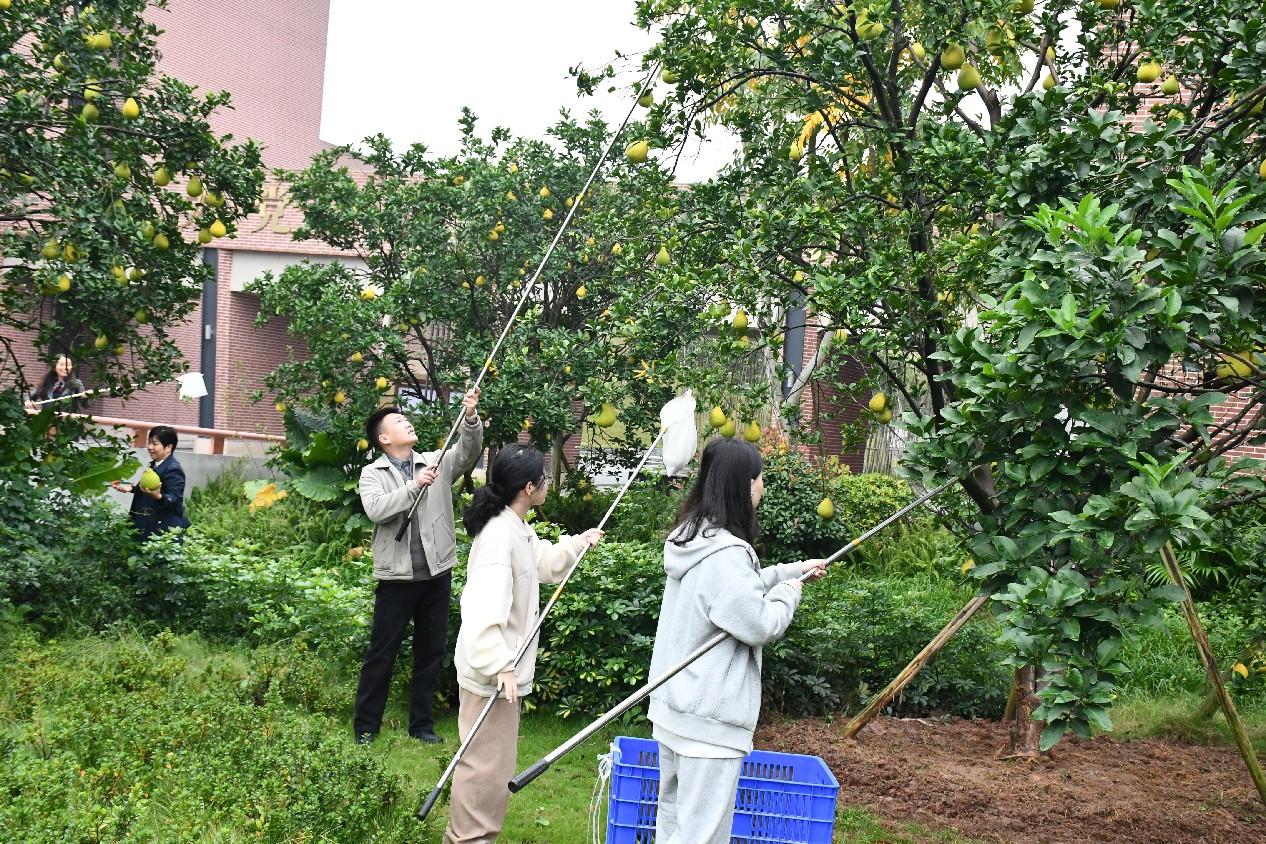 香港图库资料库360图库下载