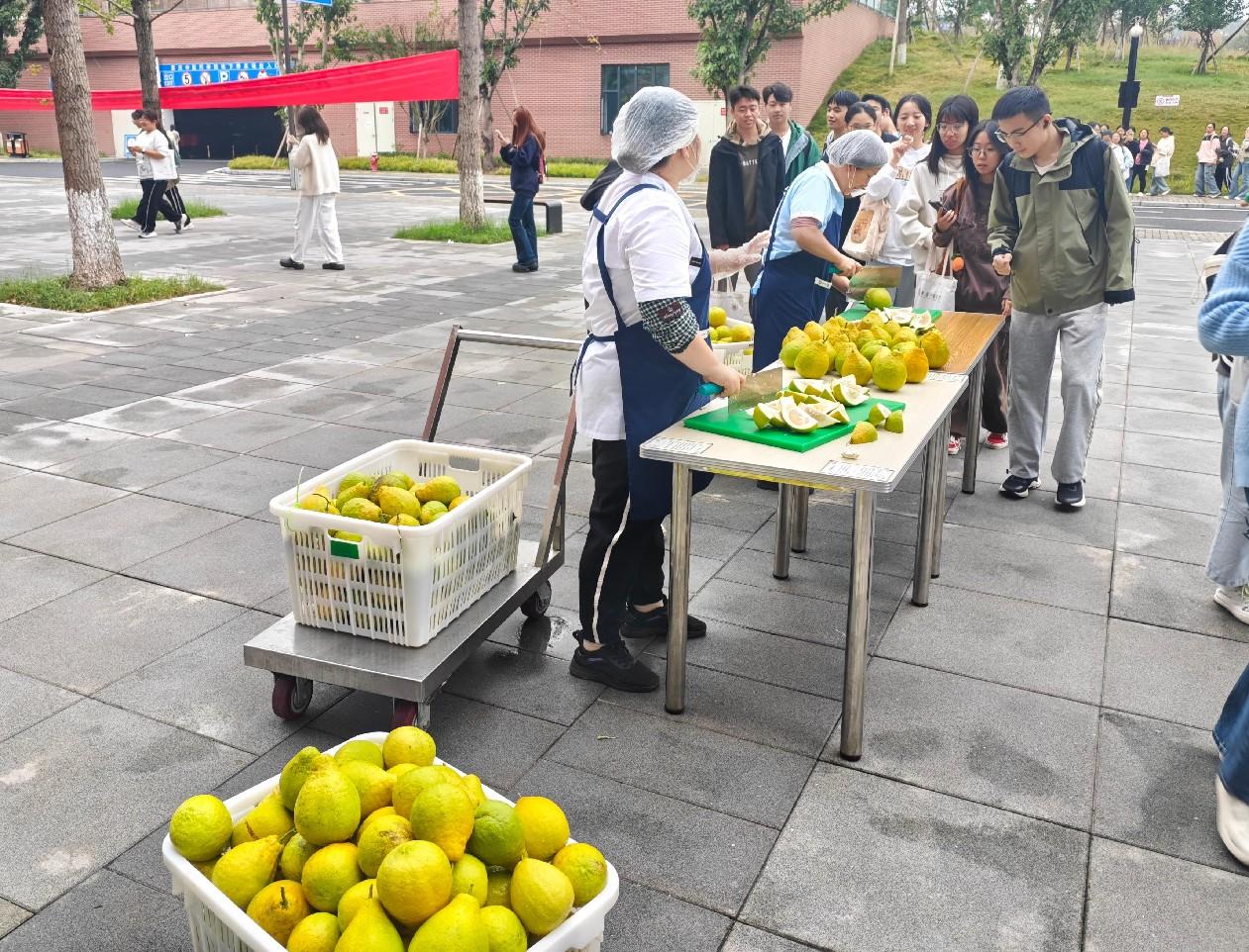 香港图库资料库360图库下载