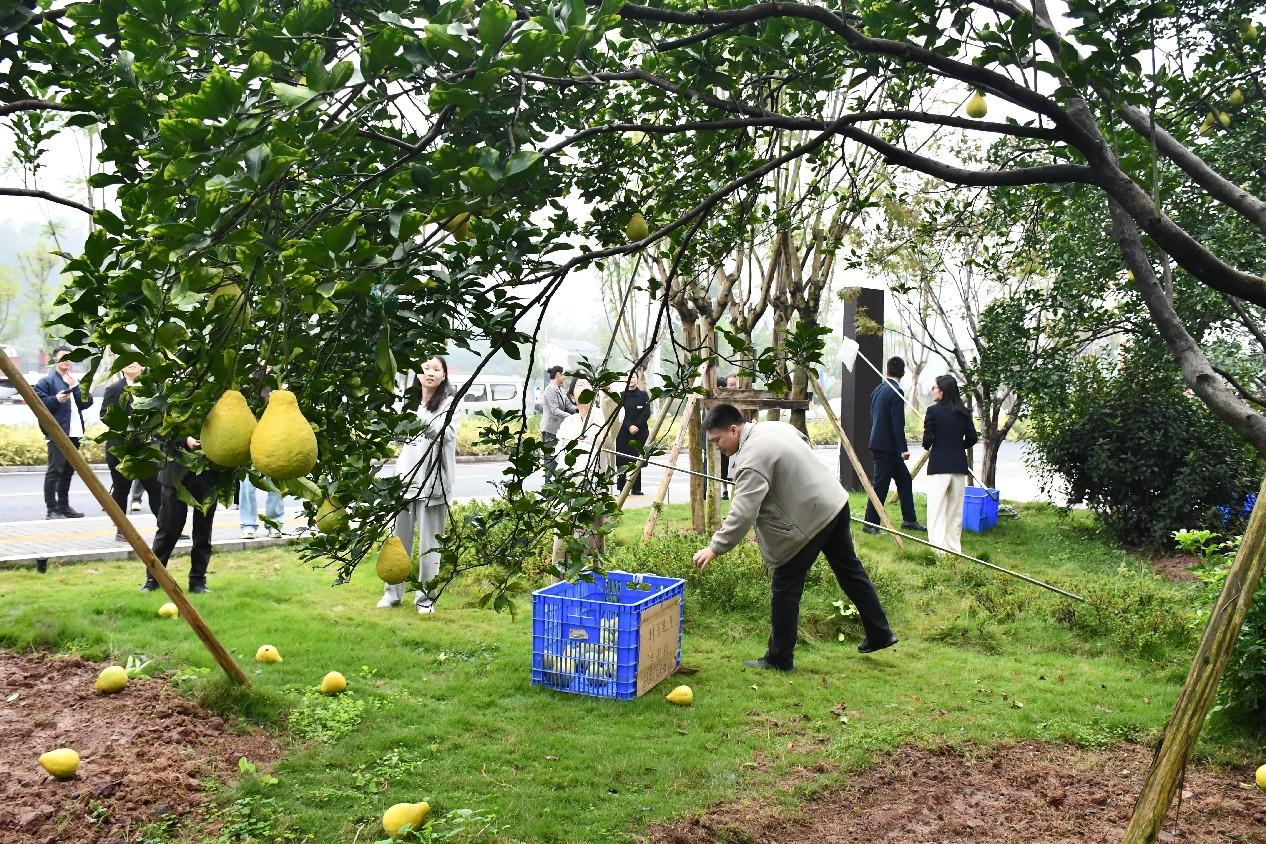 香港图库资料库360图库下载