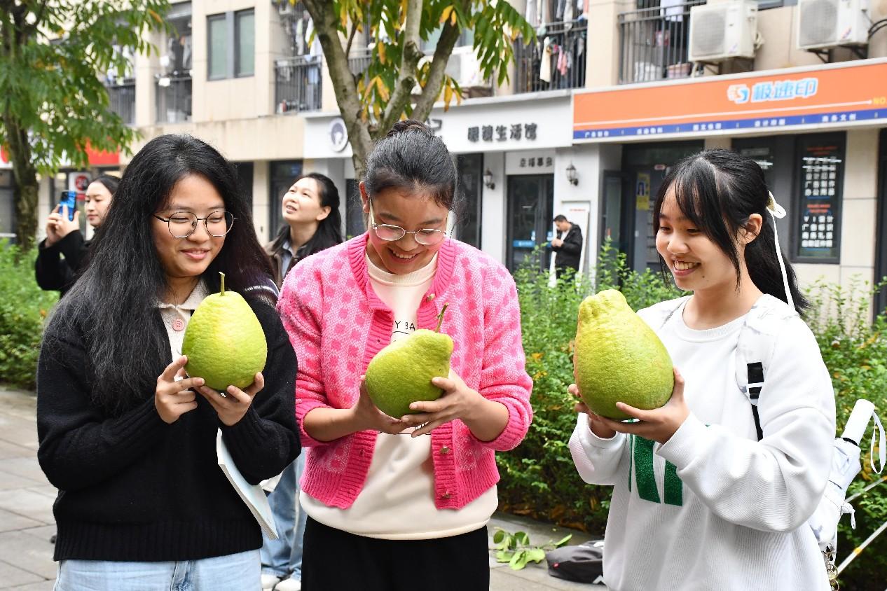 香港图库资料库360图库下载